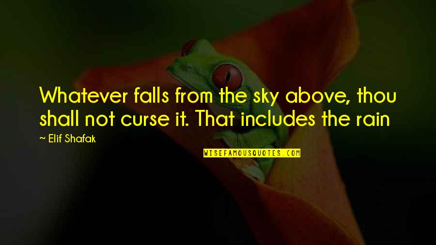 Up Above The Sky Quotes By Elif Shafak: Whatever falls from the sky above, thou shall