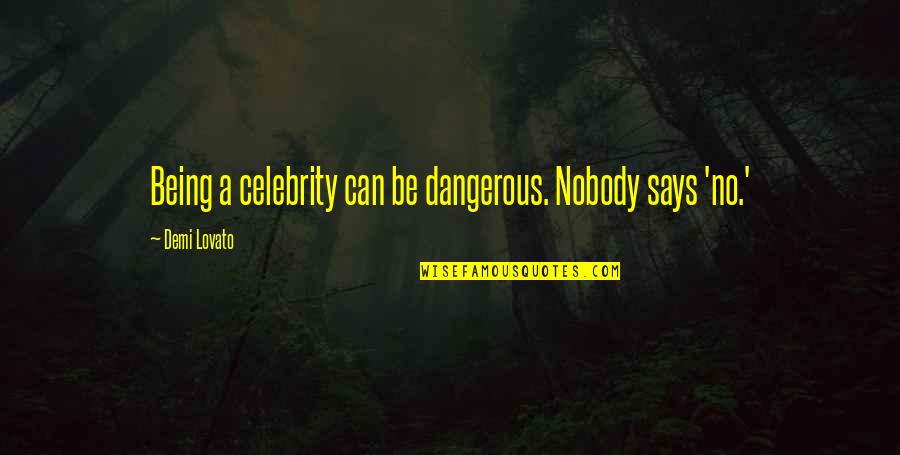 Up All Night Crying Quotes By Demi Lovato: Being a celebrity can be dangerous. Nobody says Up All Night Crying Quotes By Demi Lovato: Being a celebrity can be dangerous. Nobody says