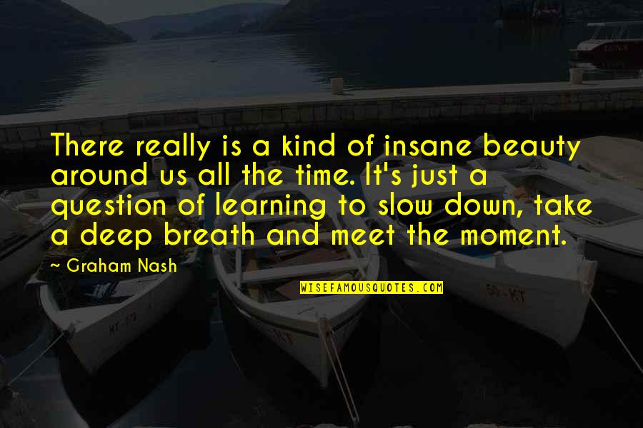 Up And Down Moments Quotes By Graham Nash: There really is a kind of insane beauty Up And Down Moments Quotes By Graham Nash: There really is a kind of insane beauty
