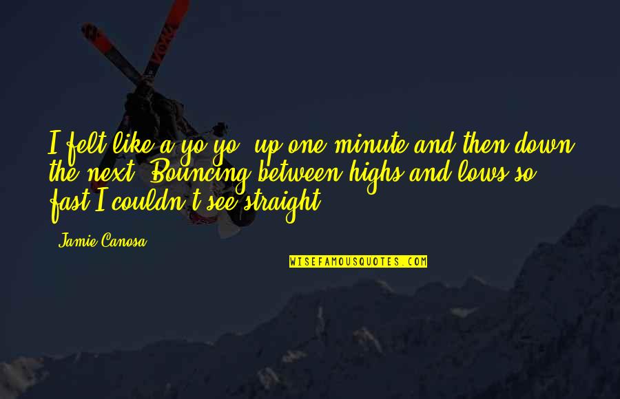 Up And Down Quotes By Jamie Canosa: I felt like a yo-yo, up one minute