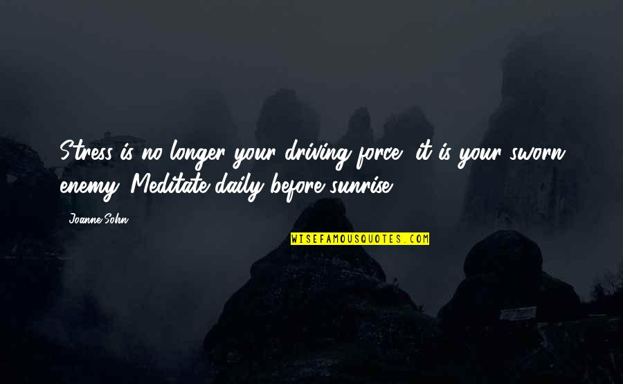 Up Before The Sunrise Quotes By Joanne Sohn: Stress is no longer your driving force, it