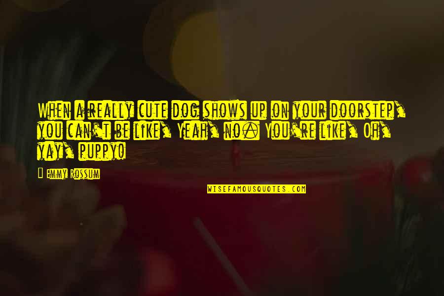 Up Dog Quotes By Emmy Rossum: When a really cute dog shows up on Up Dog Quotes By Emmy Rossum: When a really cute dog shows up on