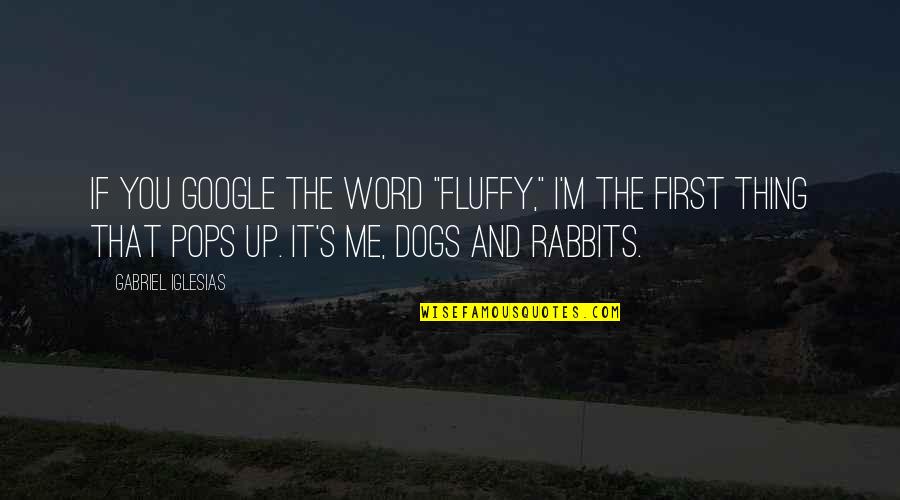 Up Dog Quotes By Gabriel Iglesias: If you Google the word "fluffy," I'm the