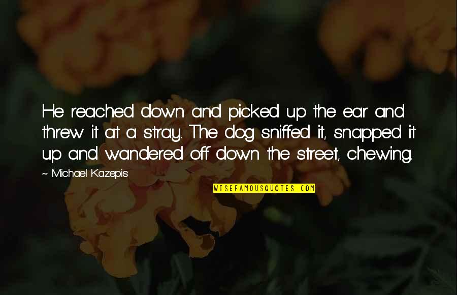 Up Dog Quotes By Michael Kazepis: He reached down and picked up the ear