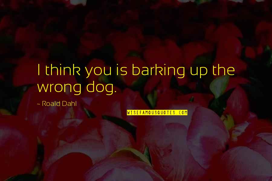 Up Dog Quotes By Roald Dahl: I think you is barking up the wrong