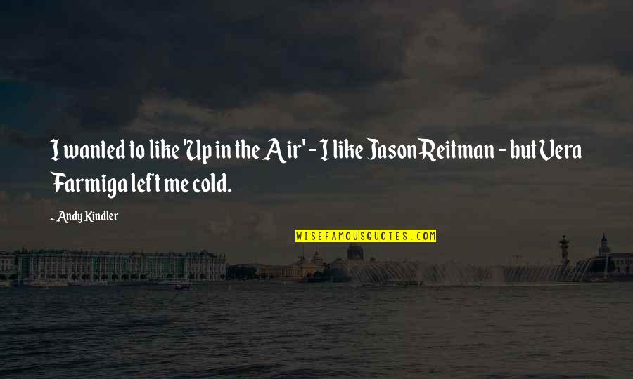 Up In The Air Quotes By Andy Kindler: I wanted to like 'Up in the Air'