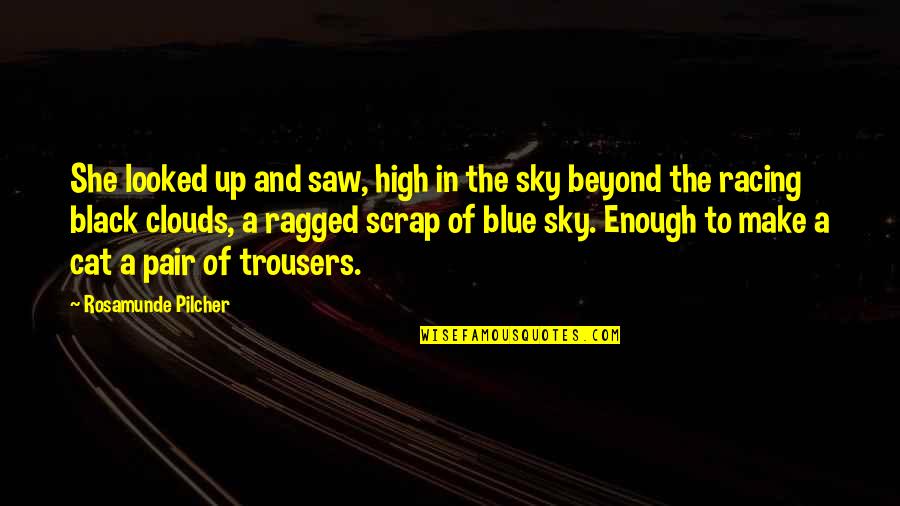 Up In The Clouds Quotes By Rosamunde Pilcher: She looked up and saw, high in the