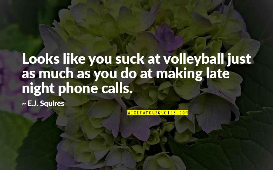 Up Late Night Quotes By E.J. Squires: Looks like you suck at volleyball just as