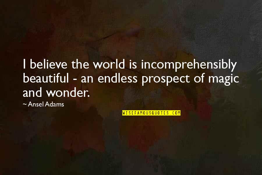 Up Uplifting Entertainment Quotes By Ansel Adams: I believe the world is incomprehensibly beautiful -