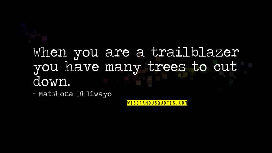 Up With Trees Quotes By Matshona Dhliwayo: When you are a trailblazer you have many