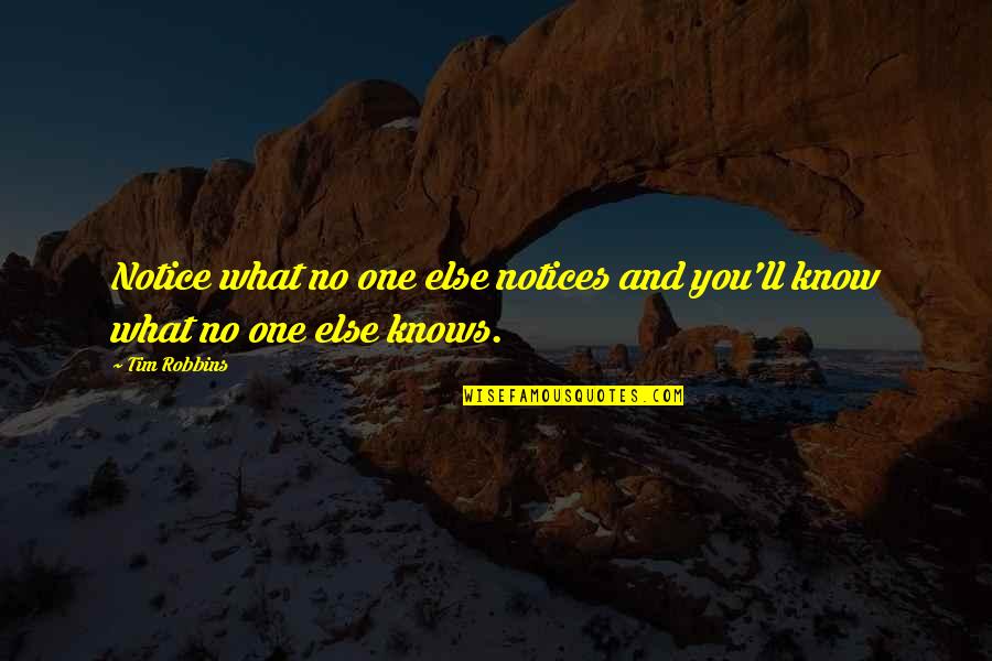 Upamaka Quotes By Tim Robbins: Notice what no one else notices and you'll