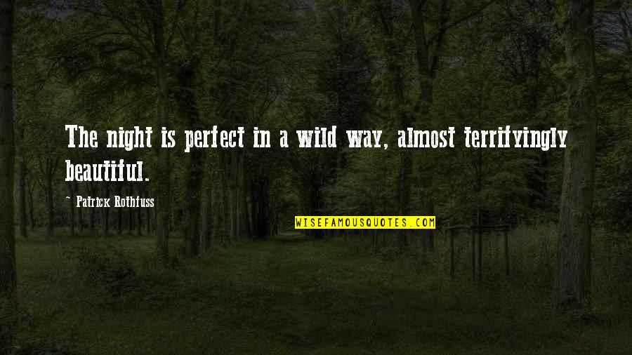 Upanishads Quotes By Patrick Rothfuss: The night is perfect in a wild way,