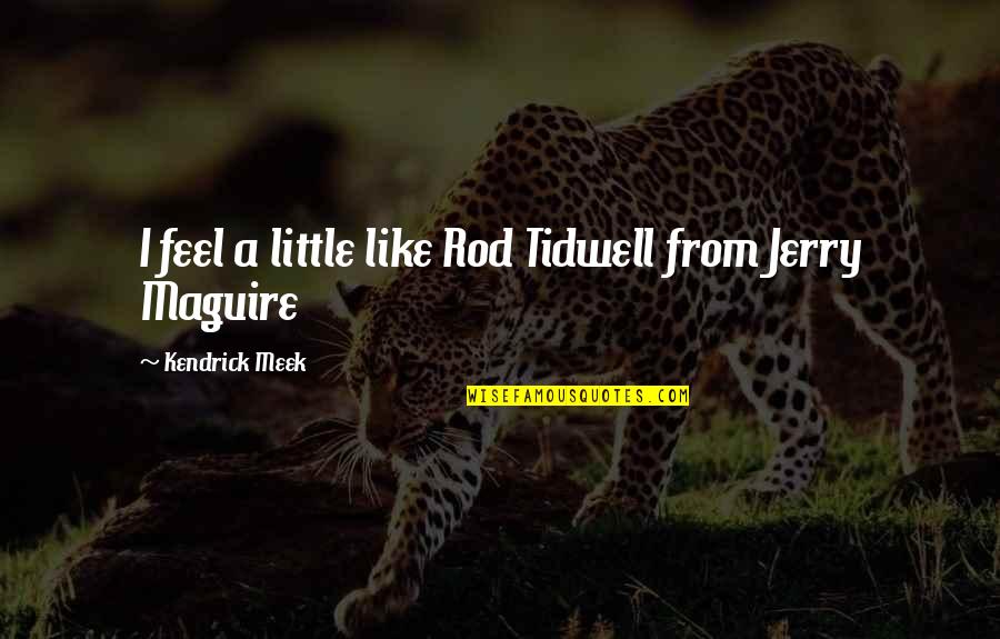 Upendi Quotes By Kendrick Meek: I feel a little like Rod Tidwell from