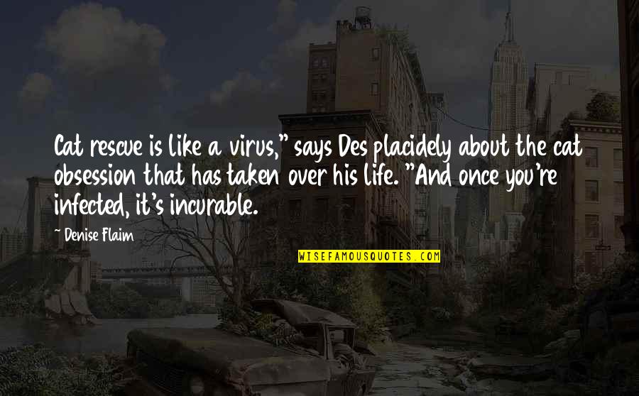 Uphill And Downhill Quotes By Denise Flaim: Cat rescue is like a virus," says Des Uphill And Downhill Quotes By Denise Flaim: Cat rescue is like a virus," says Des