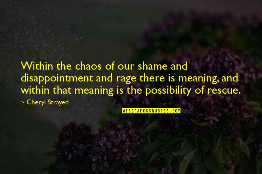 Uppercut Bag Quotes By Cheryl Strayed: Within the chaos of our shame and disappointment Uppercut Bag Quotes By Cheryl Strayed: Within the chaos of our shame and disappointment