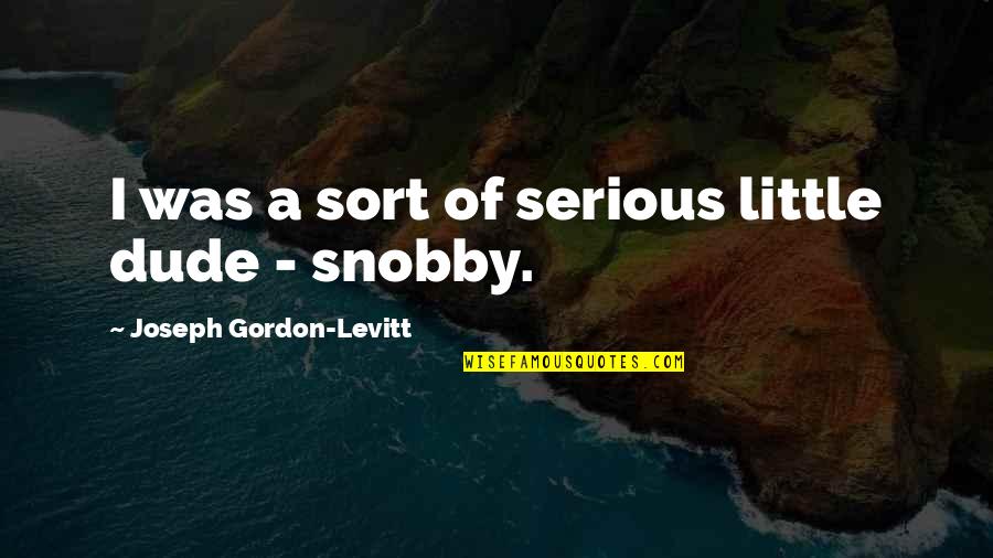 Uppermost Quotes By Joseph Gordon-Levitt: I was a sort of serious little dude