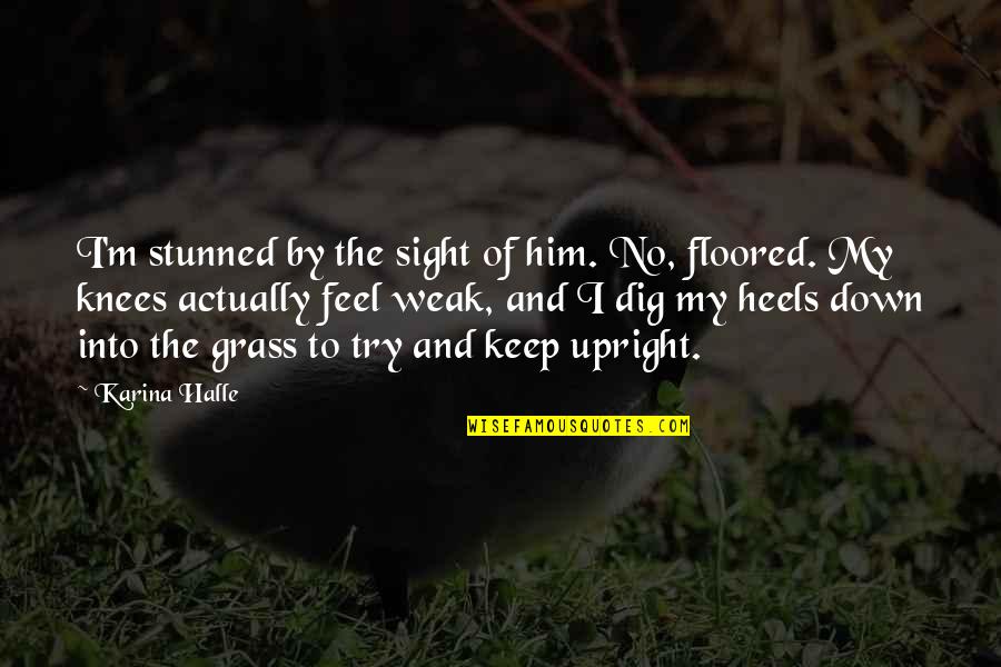 Upright Quotes By Karina Halle: I'm stunned by the sight of him. No,