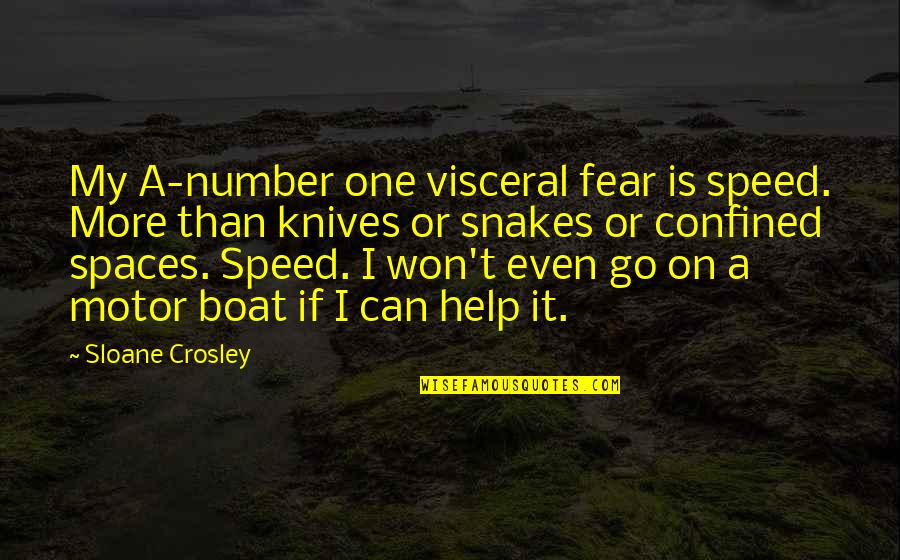 Uproars Hyph Quotes By Sloane Crosley: My A-number one visceral fear is speed. More Uproars Hyph Quotes By Sloane Crosley: My A-number one visceral fear is speed. More