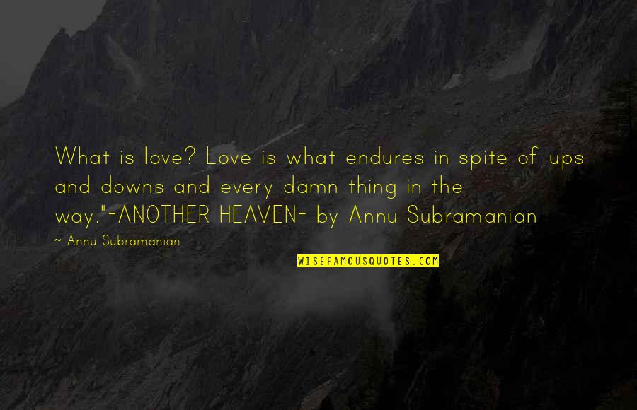 Ups And Downs In Love Quotes By Annu Subramanian: What is love? Love is what endures in