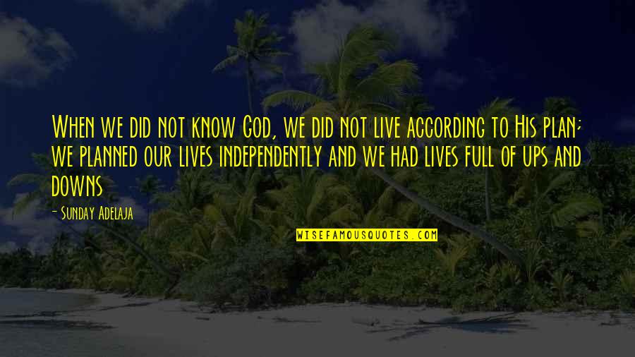 Ups Downs Of Life Quotes By Sunday Adelaja: When we did not know God, we did