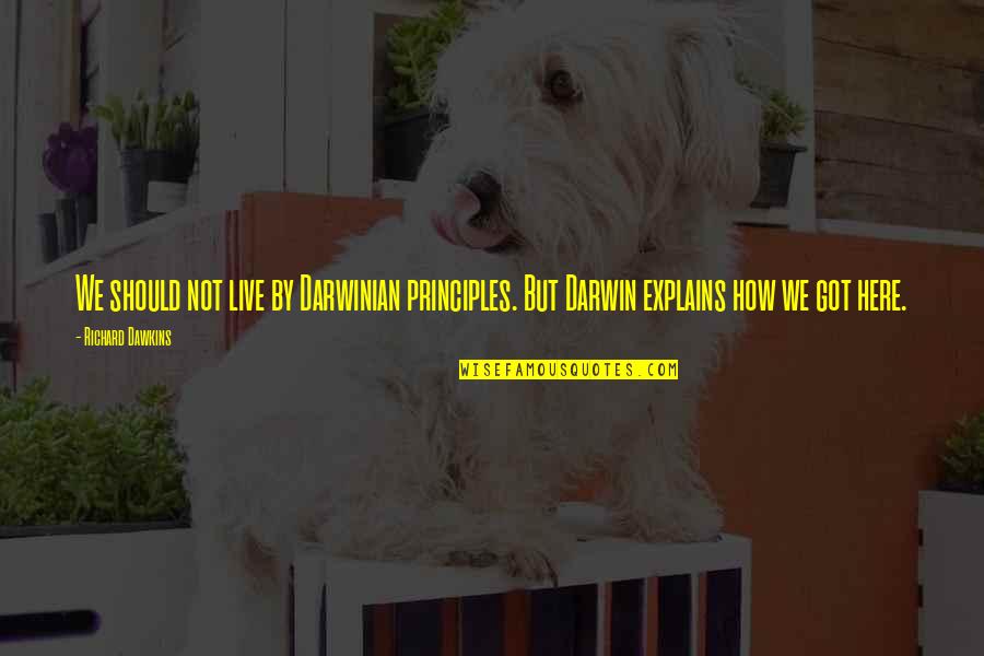 Upsc Preparation Quotes By Richard Dawkins: We should not live by Darwinian principles. But