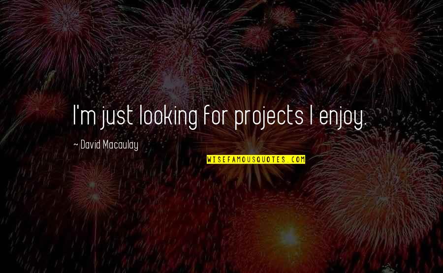 Upturns Quotes By David Macaulay: I'm just looking for projects I enjoy.