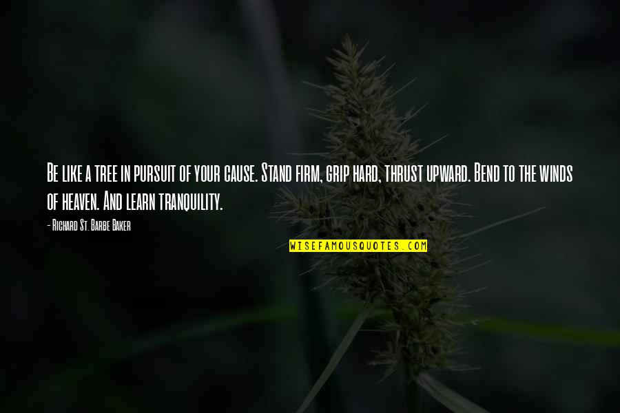 Upward Quotes By Richard St. Barbe Baker: Be like a tree in pursuit of your Upward Quotes By Richard St. Barbe Baker: Be like a tree in pursuit of your