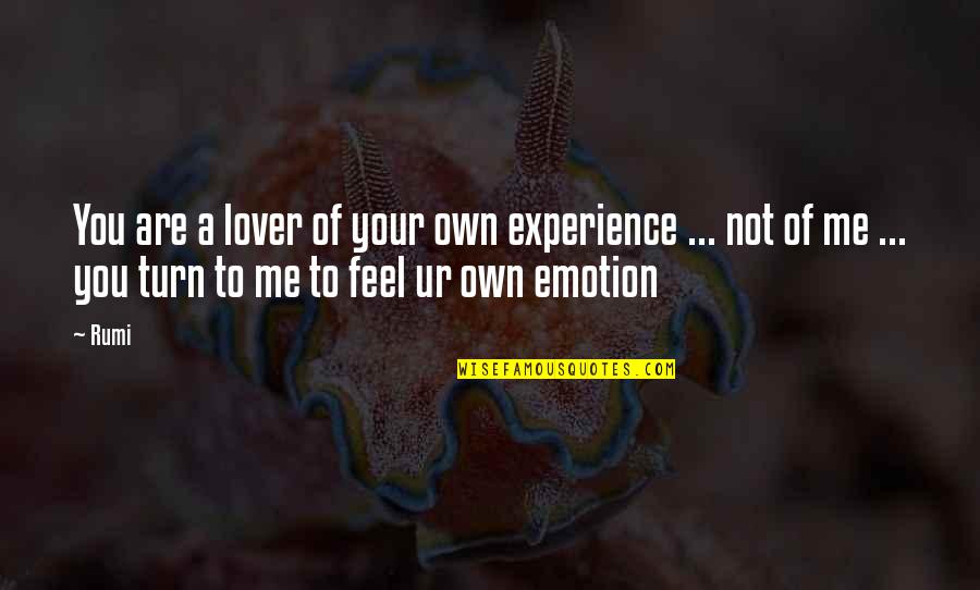 Ur Ex Quotes By Rumi: You are a lover of your own experience