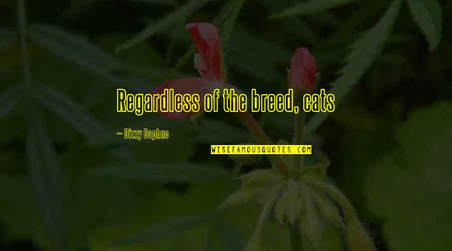 Uraniborg Quotes By Dizzy Daphne: Regardless of the breed, cats Uraniborg Quotes By Dizzy Daphne: Regardless of the breed, cats