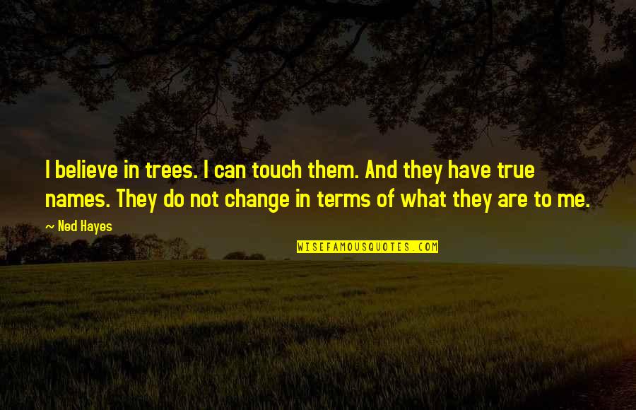 Urban And Regional Planning Quotes By Ned Hayes: I believe in trees. I can touch them.