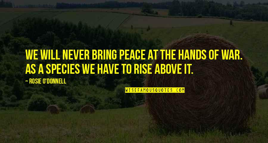 Urban Exodus Quotes By Rosie O'Donnell: We will never bring peace at the hands