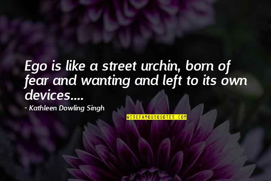 Urchin's Quotes By Kathleen Dowling Singh: Ego is like a street urchin, born of