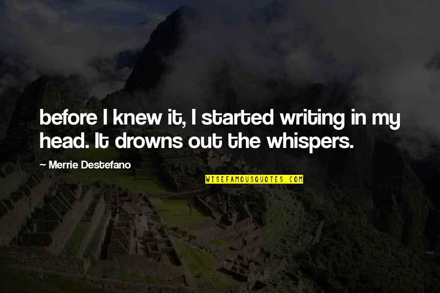 Ures Quotes By Merrie Destefano: before I knew it, I started writing in Ures Quotes By Merrie Destefano: before I knew it, I started writing in