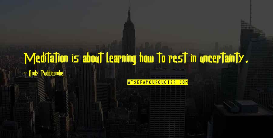 Ureterolithiasis Quotes By Andy Puddicombe: Meditation is about learning how to rest in Ureterolithiasis Quotes By Andy Puddicombe: Meditation is about learning how to rest in