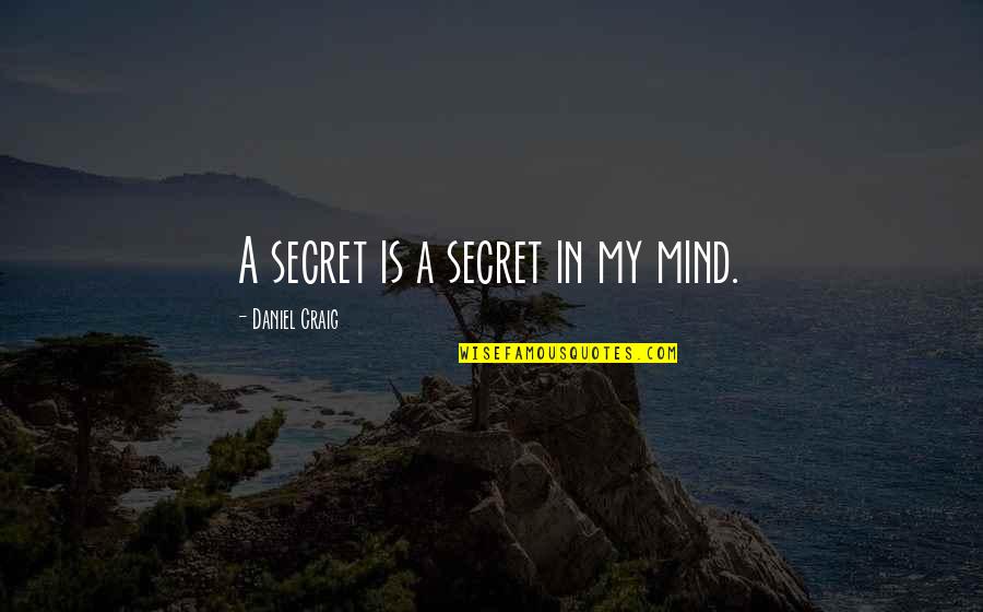 Urge To Kill Quotes By Daniel Craig: A secret is a secret in my mind.