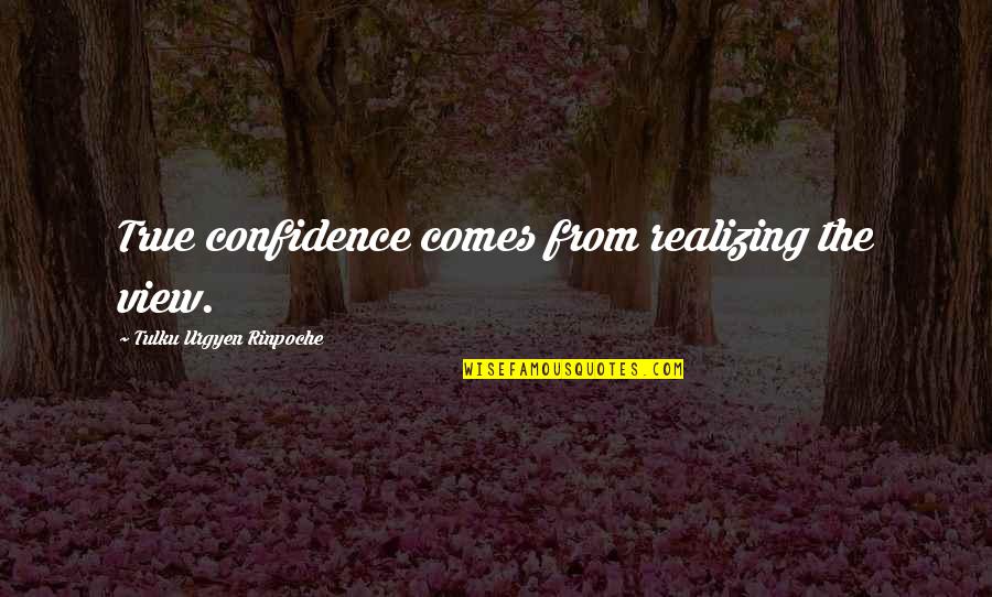 Urgyen Tulku Quotes By Tulku Urgyen Rinpoche: True confidence comes from realizing the view.