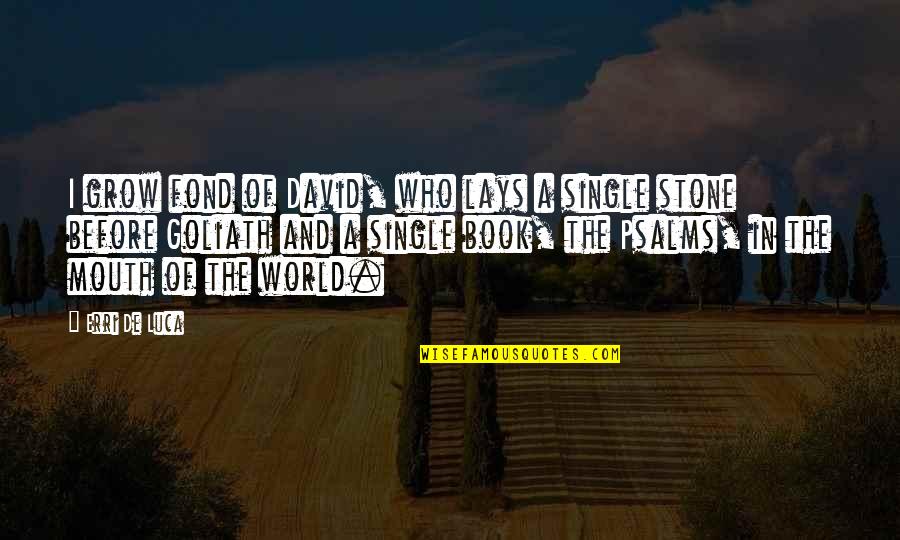 Uriah Stephens Quotes By Erri De Luca: I grow fond of David, who lays a Uriah Stephens Quotes By Erri De Luca: I grow fond of David, who lays a