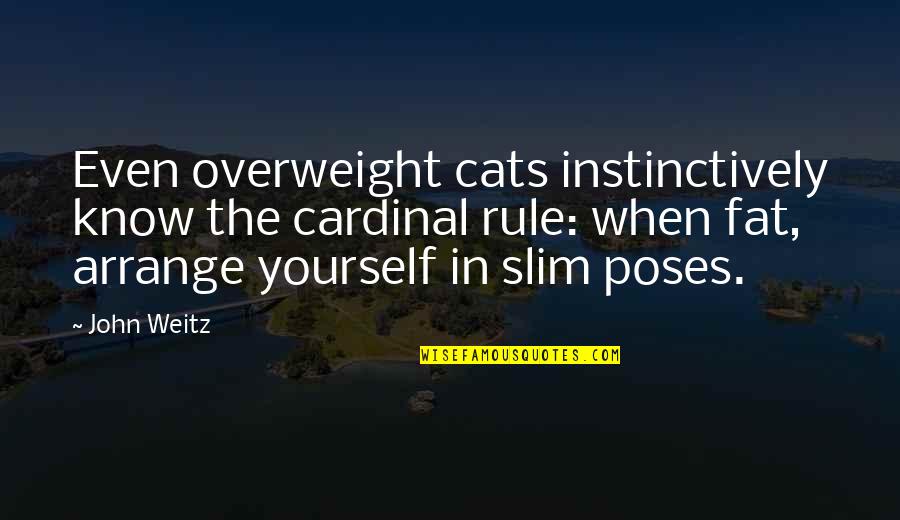 Urien And Gill Quotes By John Weitz: Even overweight cats instinctively know the cardinal rule: