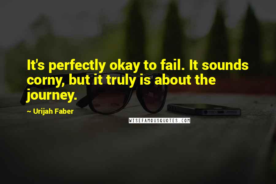 Urijah Faber quotes: It's perfectly okay to fail. It sounds corny, but it truly is about the journey.