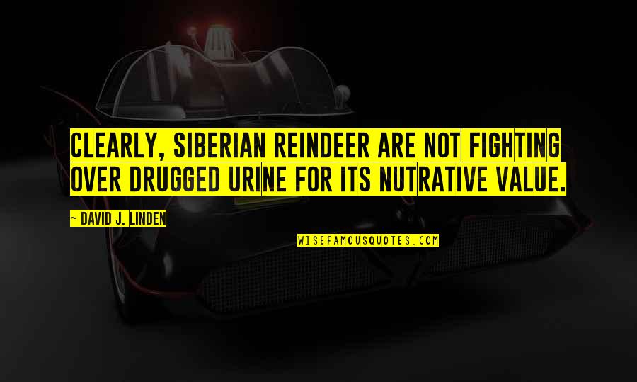 Urine Quotes By David J. Linden: Clearly, Siberian reindeer are not fighting over drugged