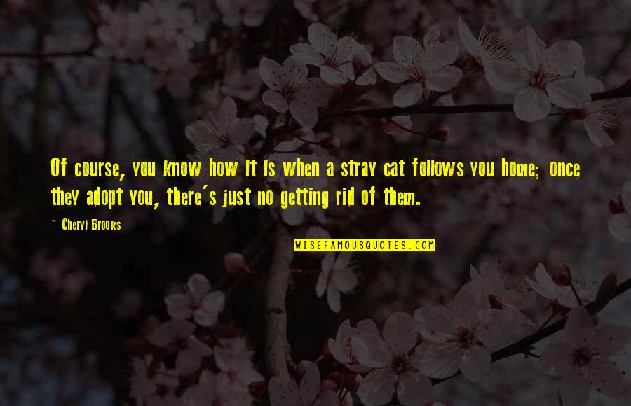 Uritescu Quotes By Cheryl Brooks: Of course, you know how it is when Uritescu Quotes By Cheryl Brooks: Of course, you know how it is when