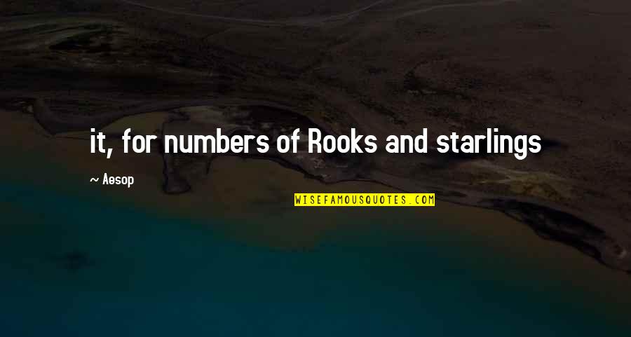 Urm Rt K Tv Lt S Quotes By Aesop: it, for numbers of Rooks and starlings