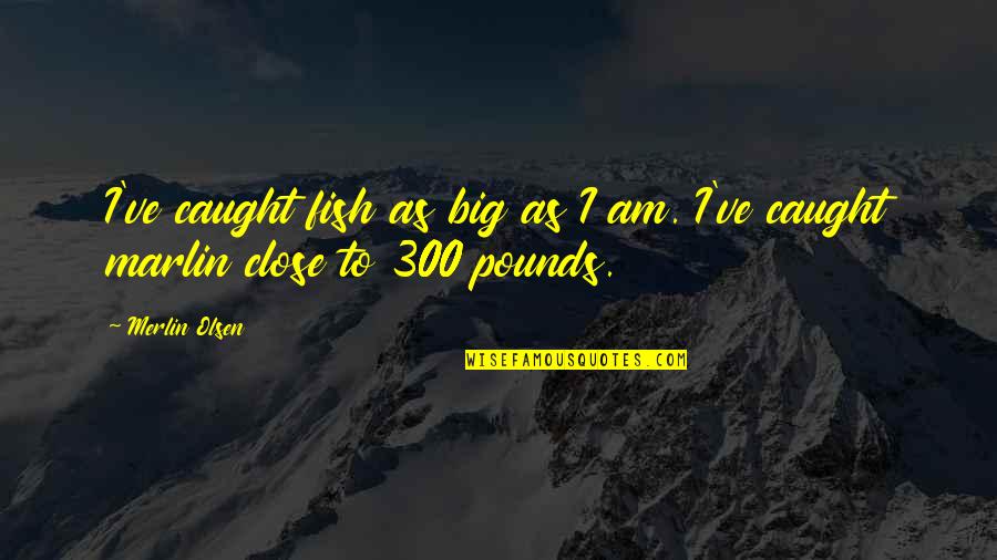 Urmatoarele Alegeri Quotes By Merlin Olsen: I've caught fish as big as I am.