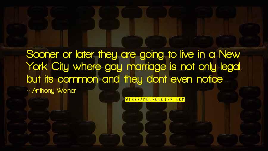 Urschi Gheorghe Quotes By Anthony Weiner: Sooner or later they are going to live Urschi Gheorghe Quotes By Anthony Weiner: Sooner or later they are going to live
