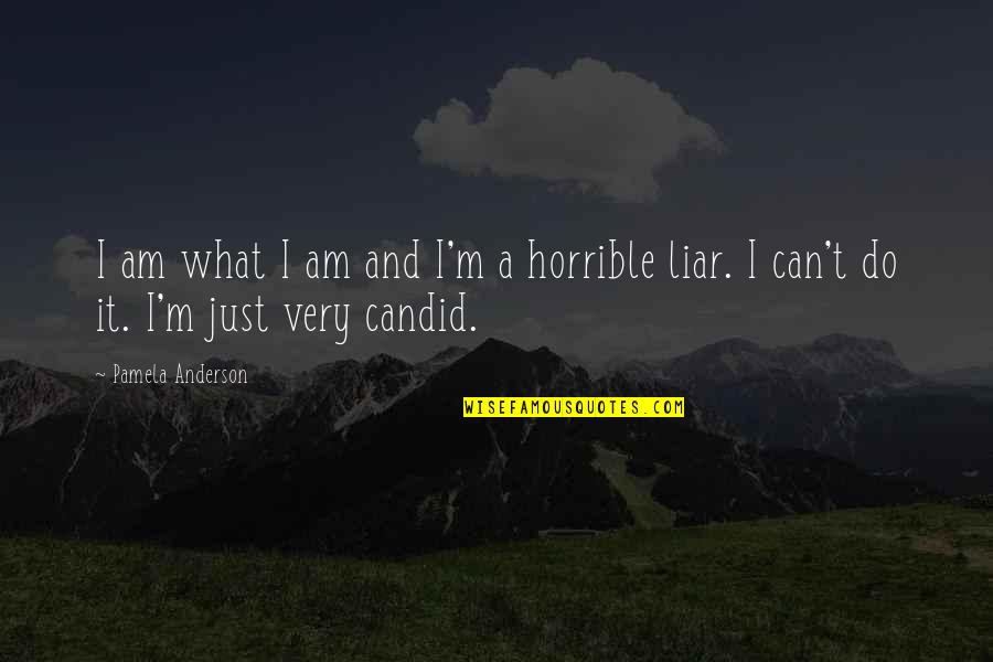 Urso Forte Quotes By Pamela Anderson: I am what I am and I'm a