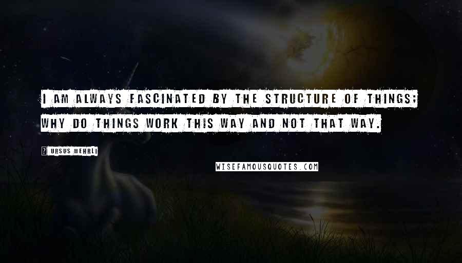 Ursus Wehrli quotes: I am always fascinated by the structure of things; why do things work this way and not that way.