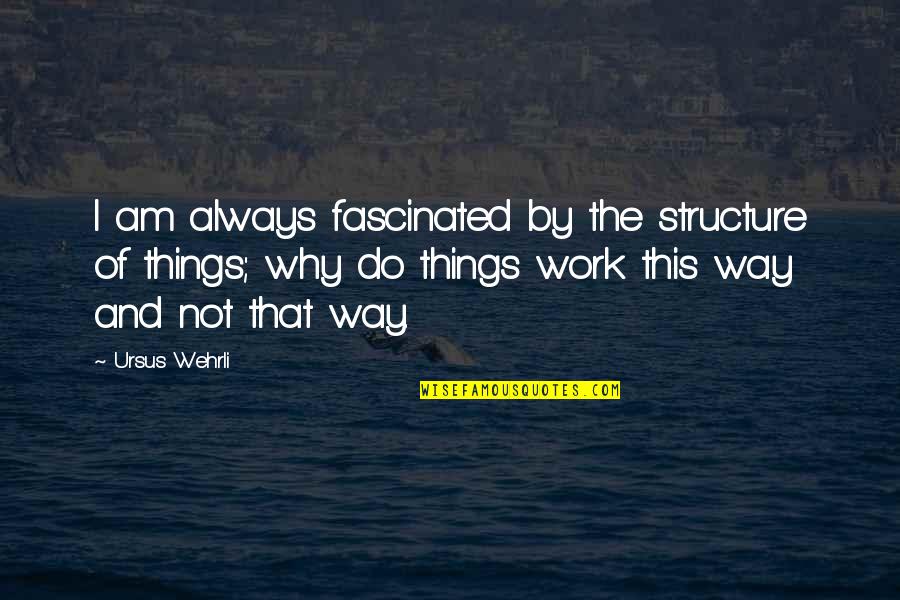 Ursus Wehrli Quotes By Ursus Wehrli: I am always fascinated by the structure of Ursus Wehrli Quotes By Ursus Wehrli: I am always fascinated by the structure of