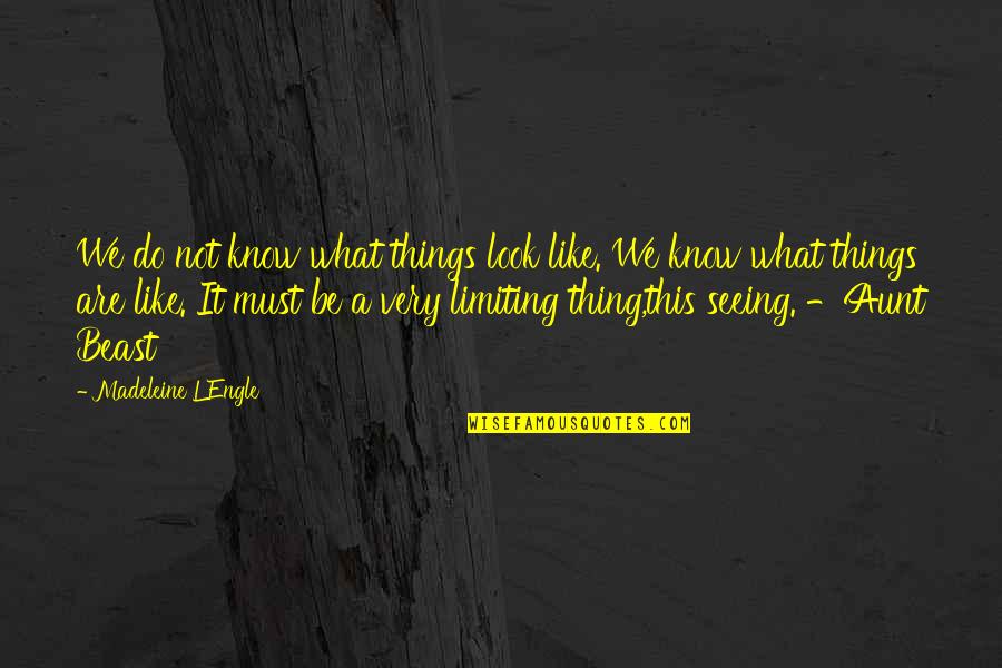 Urtubey Gobernador Quotes By Madeleine L'Engle: We do not know what things look like. Urtubey Gobernador Quotes By Madeleine L'Engle: We do not know what things look like.