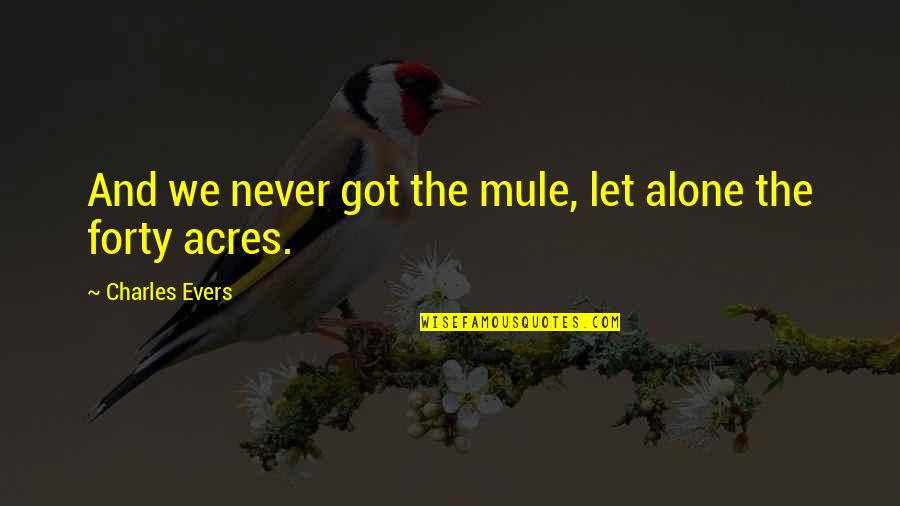 Us Acres Quotes By Charles Evers: And we never got the mule, let alone