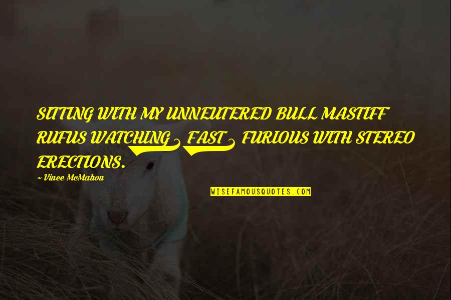 Us Army Inspirational Quotes By Vince McMahon: SITTING WITH MY UNNEUTERED BULL MASTIFF RUFUS WATCHING